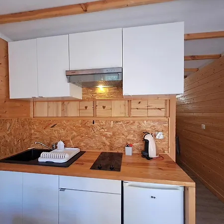 Cosy Avec Balcon Sud Et Animaux Admis, Proche Pistes * Les Deux Alpes