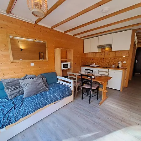 Cosy Avec Balcon Sud Et Animaux Admis, Proche Pistes *