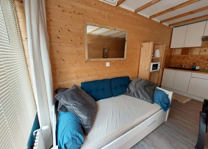 Apartment Cosy Avec Balcon Sud Et Animaux Admis, Proche Pistes - Fr-1-516-204