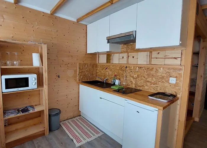 Apartment Cosy Avec Balcon Sud Et Animaux Admis, Proche Pistes - Fr-1-516-204 Les Deux Alpes