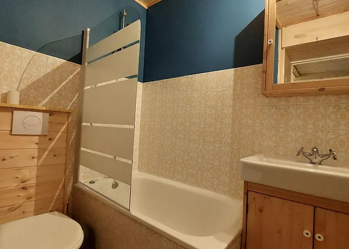 Cosy Avec Balcon Sud Et Animaux Admis, Proche Pistes - Fr-1-516-204 * Les Deux Alpes