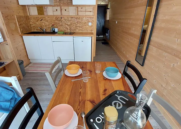 Cosy Avec Balcon Sud Et Animaux Admis, Proche Pistes - Fr-1-516-204 Les Deux Alpes