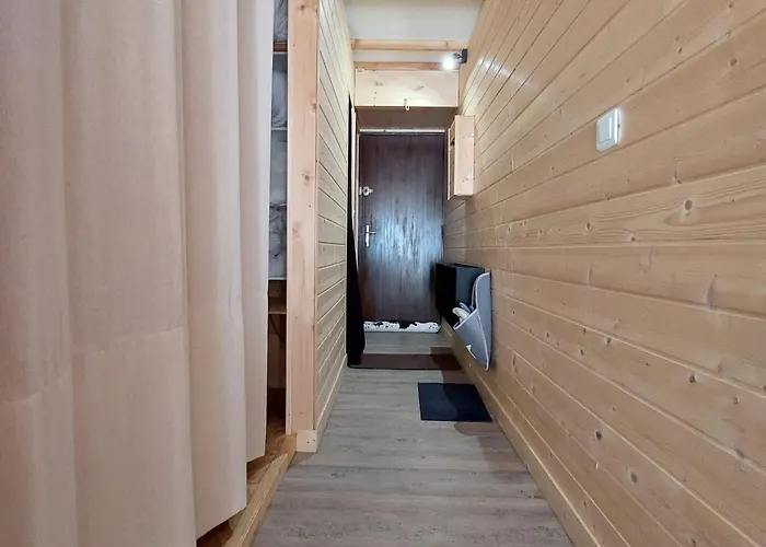 Apartment Cosy Avec Balcon Sud Et Animaux Admis, Proche Pistes - Fr-1-516-204 Les Deux Alpes